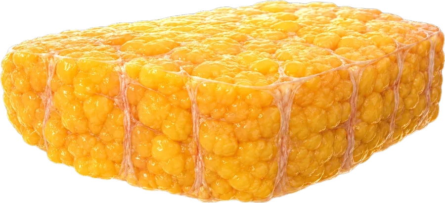 Gordura subcutânea